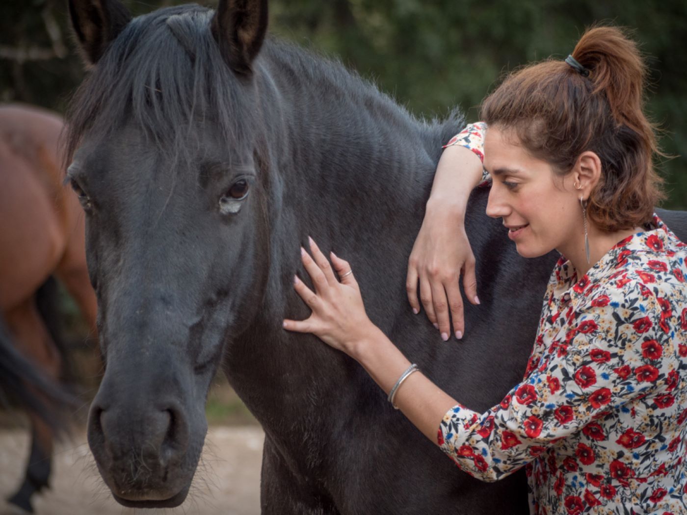 A Woman Is Petting A Black Horse — Sunshine Coast Farrier Services In Woodford, QLD