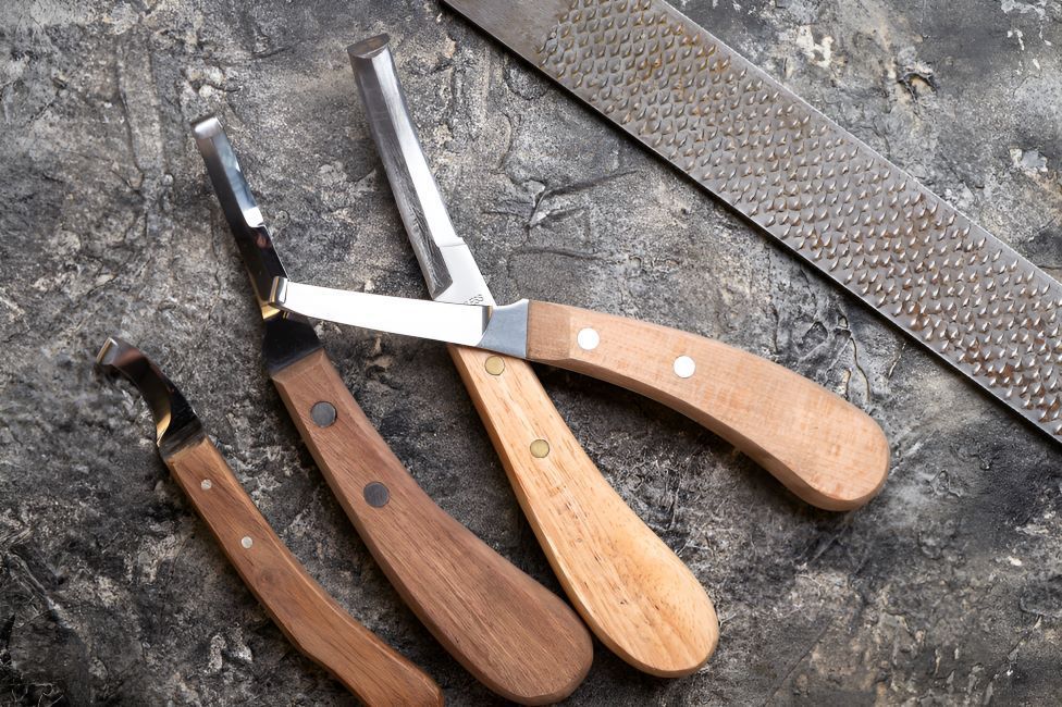 Three Knives With Wooden Handles — Sunshine Coast Farrier Services In Landsborough, QLD