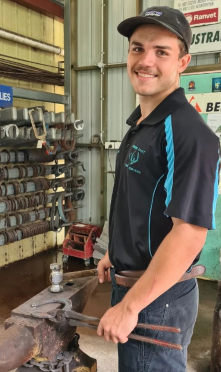 A Herd Of Horses Are Eating Grass — Sunshine Coast Farrier Services In Landsborough, QLD