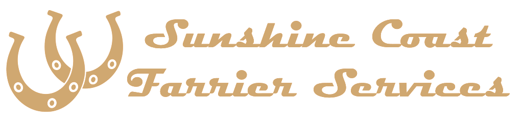 Hoof Care on the Sunshine Coast Hoof Care on the Sunshine Coast
