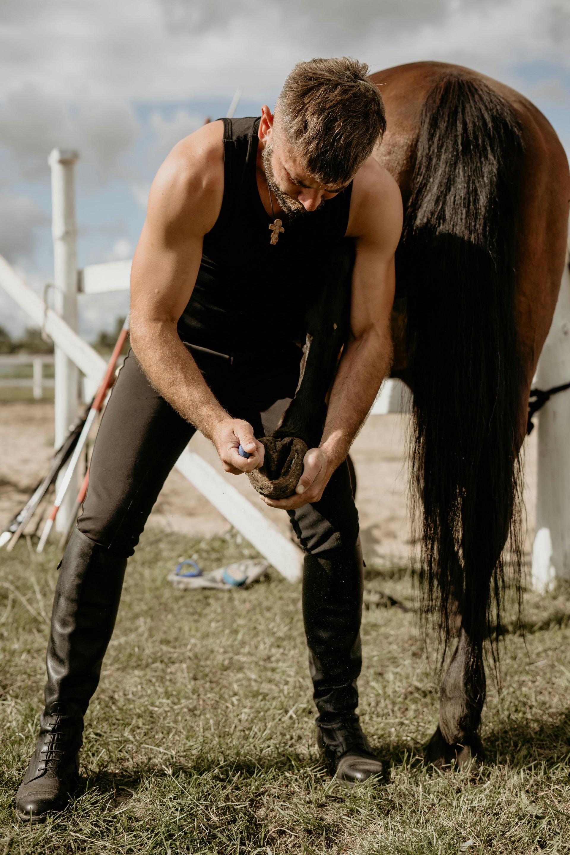 Two Horses Are Eating Hay Together — Sunshine Coast Farrier Services In Gympie, QLD