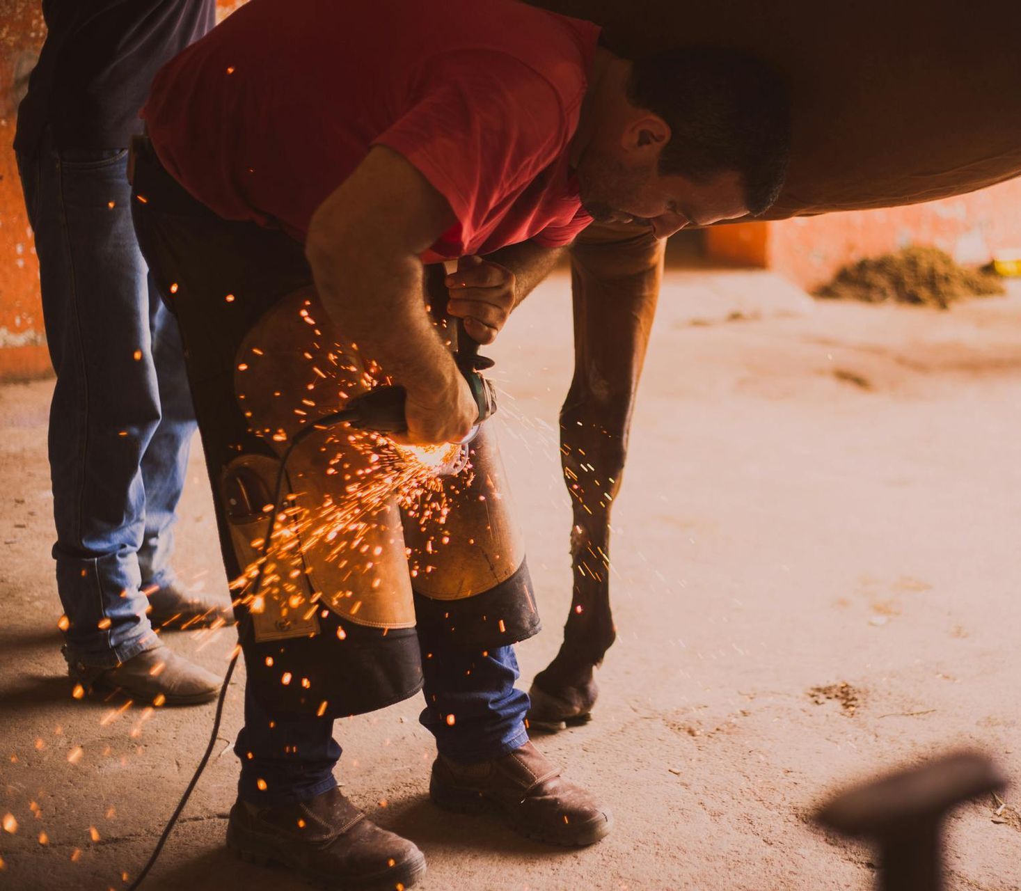 A Large Indoor Riding Arena With A Wooden Roof — Sunshine Coast Farrier Services In Woodford, QLD