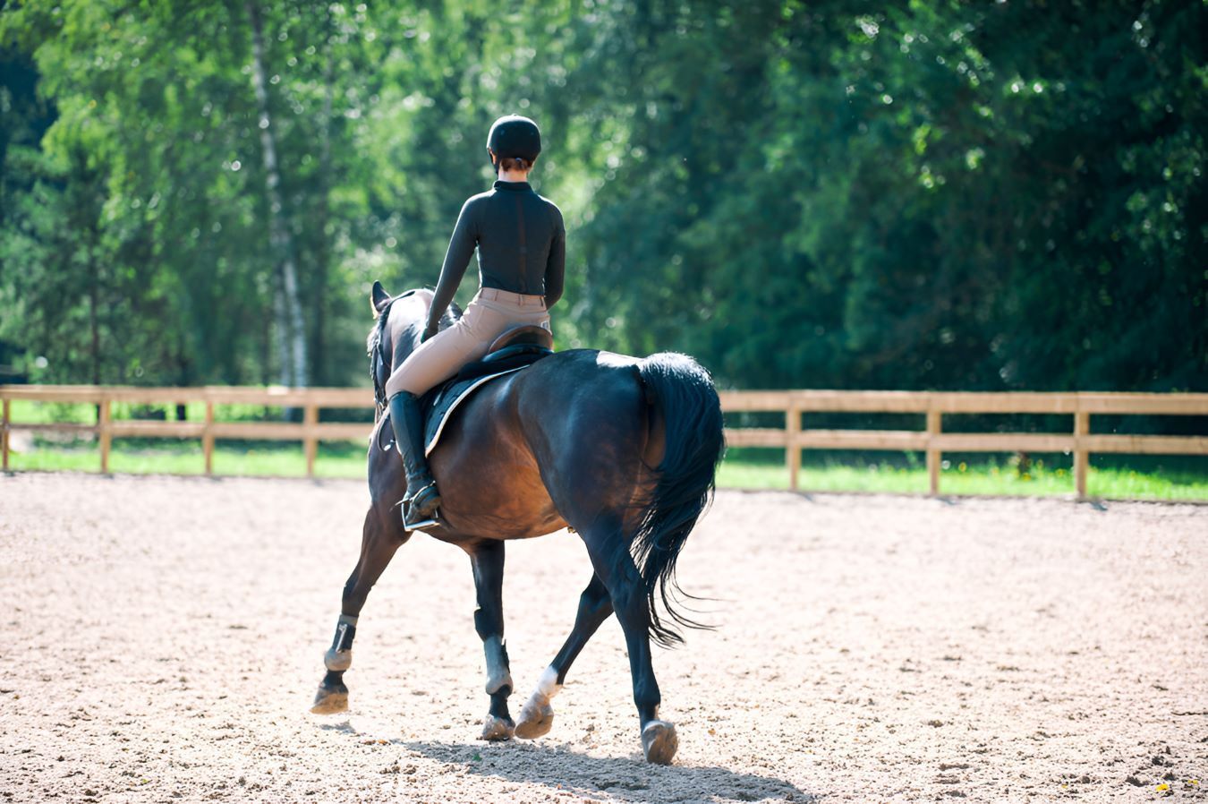 A Woman Is Riding A Horse — Sunshine Coast Farrier Services In Woodford, QLD