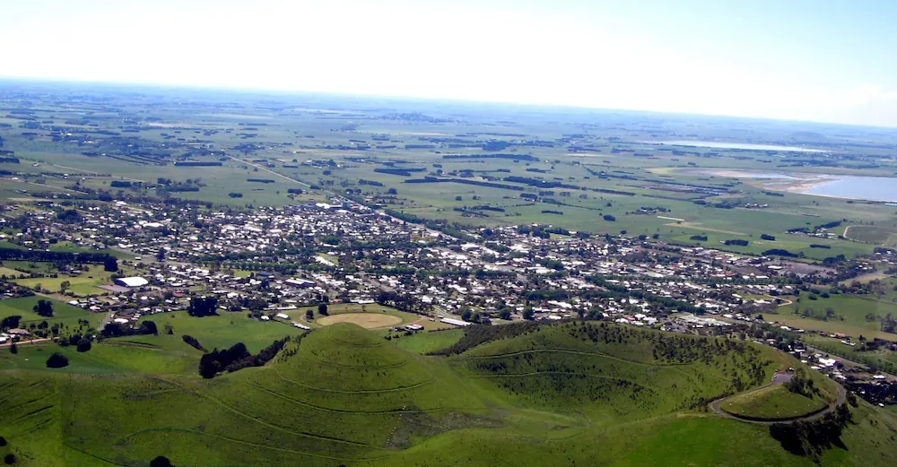 Campton Stump Grinding — Colac, VIC — Colac Trees
