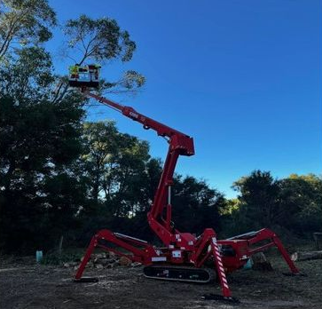 Red spider lift with a worker trimming a tree; blue sky background.