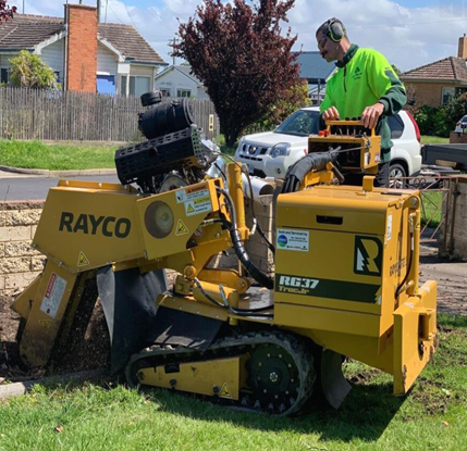 A man operating a yellow Rayco RG37 stump grinder on a residential lawn.