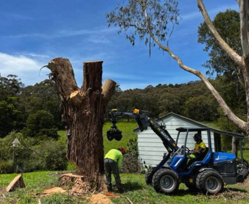 Tree stump being trimmed by a worker, while another operates a blue machine with a grabbing arm in a yard.