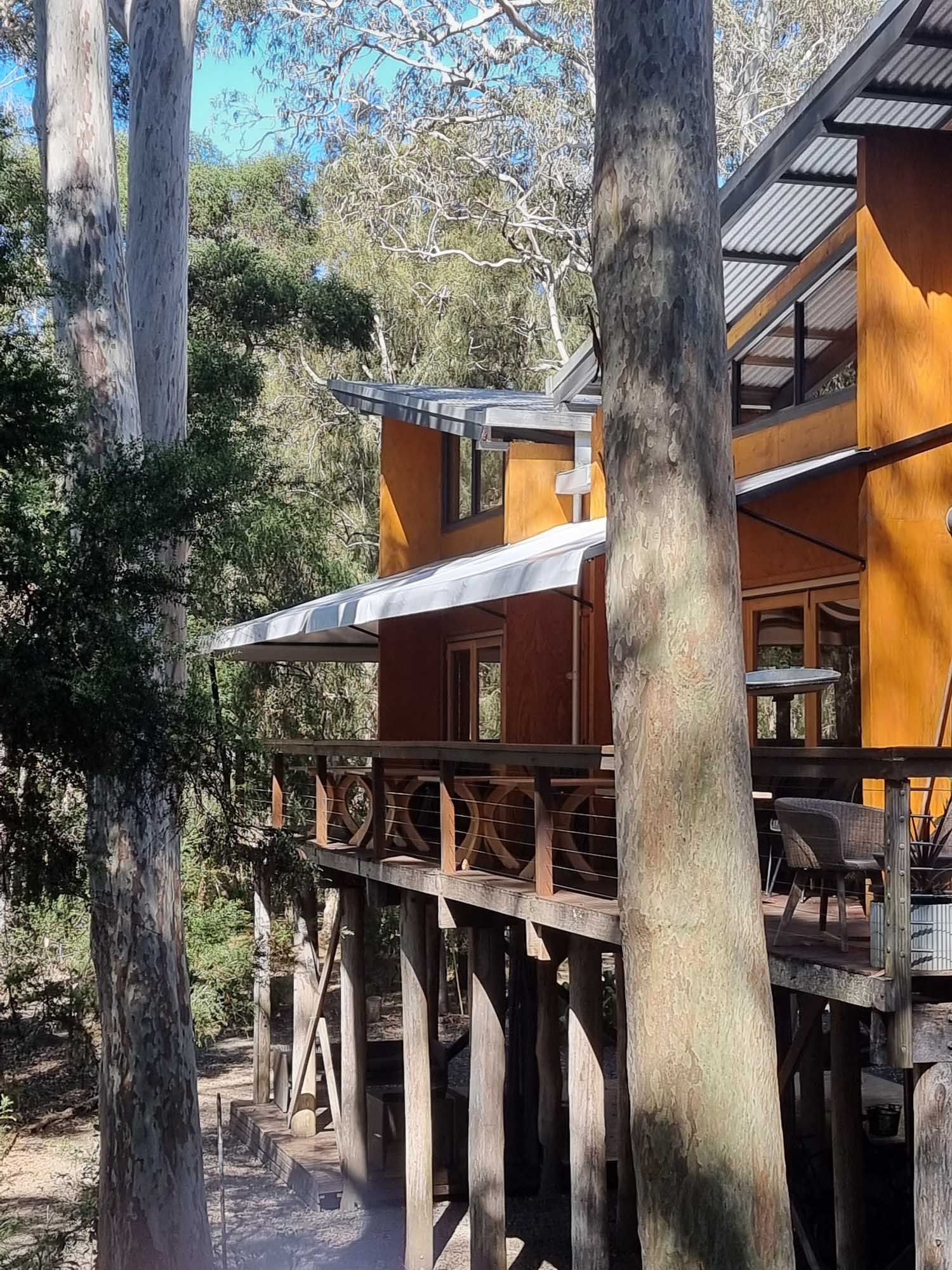 Cafe Blind — South Nowra, NSW — Nowra Canvas