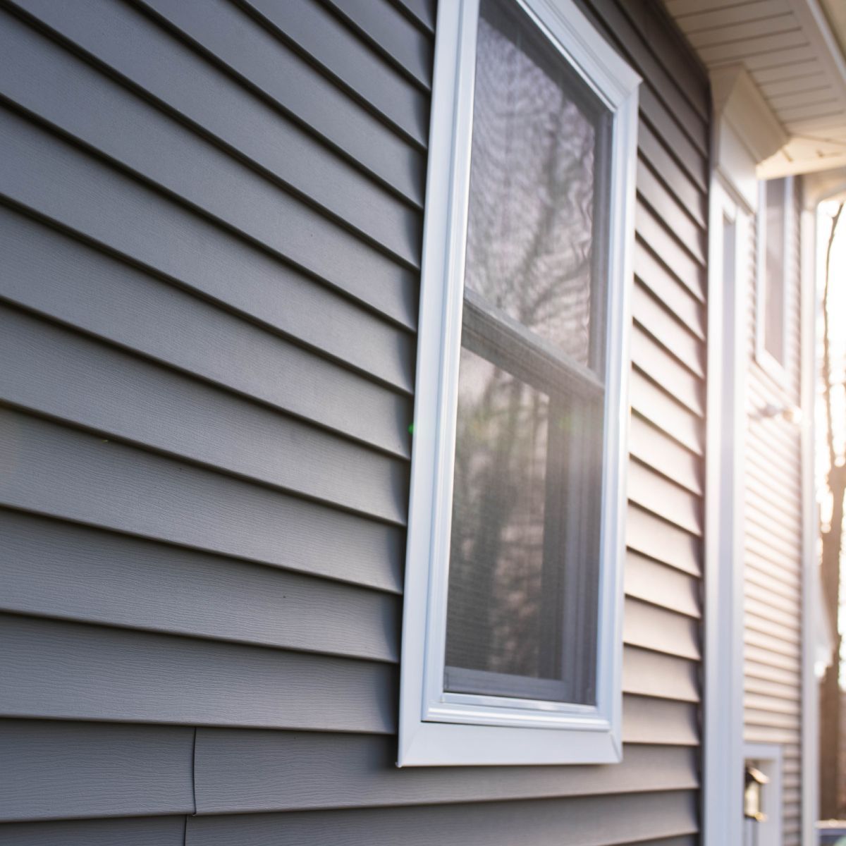 Gray siding on a house with a white-framed window.