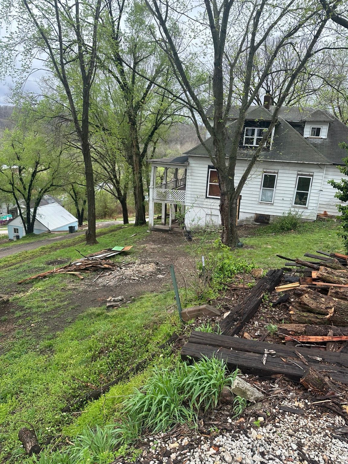 Rain-soaked yard with felled logs, tall trees, and a white house on a hillside