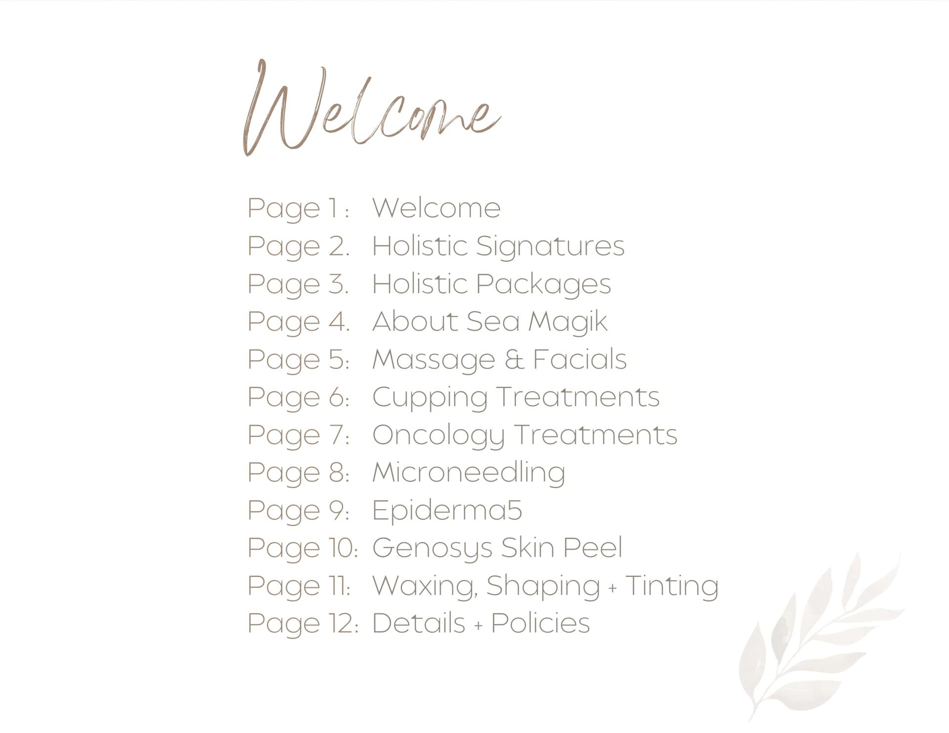 Menu: Welcome, services offered including holistic packages, facials, waxing, and more.