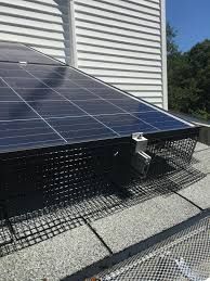 solar roof panel critter guards installation service roof today quick fast