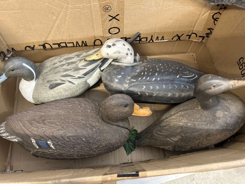 Five duck decoys in a cardboard box, gray and brown with painted details