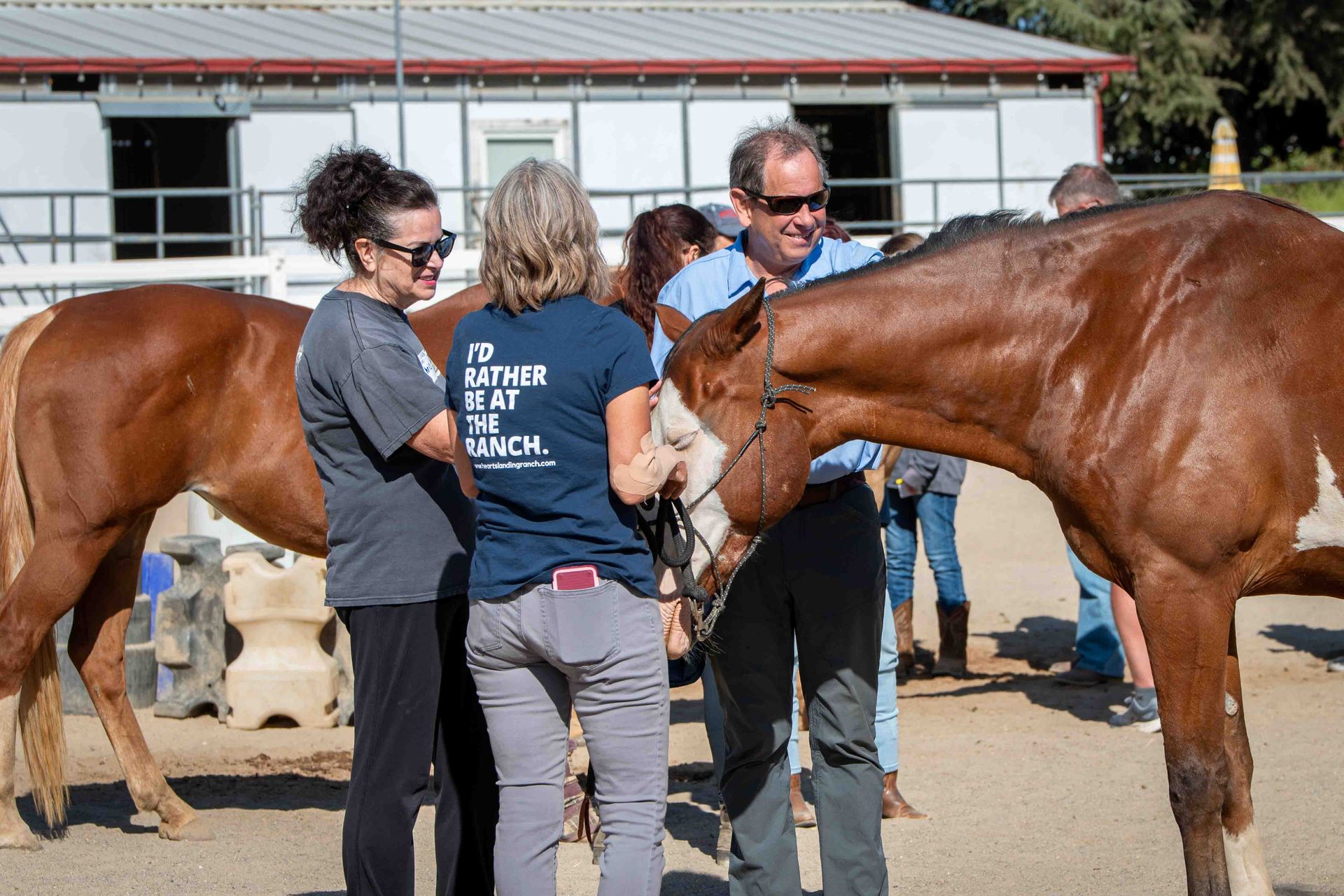 Visitor connecting with a rescued horse at Hearts Landing Ranch