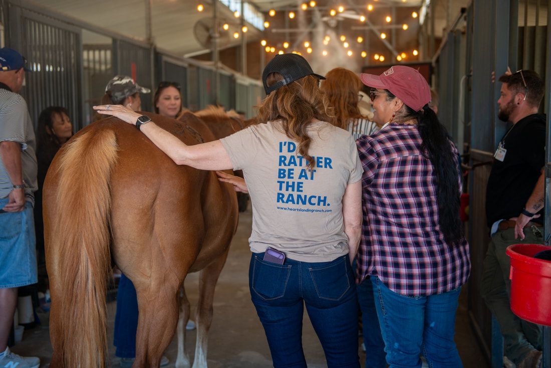 Equine Assisted Psychotherapy with a rescued horse at Hearts Landing Ranch