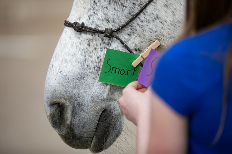 Equine Assisted Psychotherapy with a rescued horse at Hearts Landing Ranch
