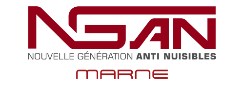 Un logo rouge et blanc pour nean sur fond blanc