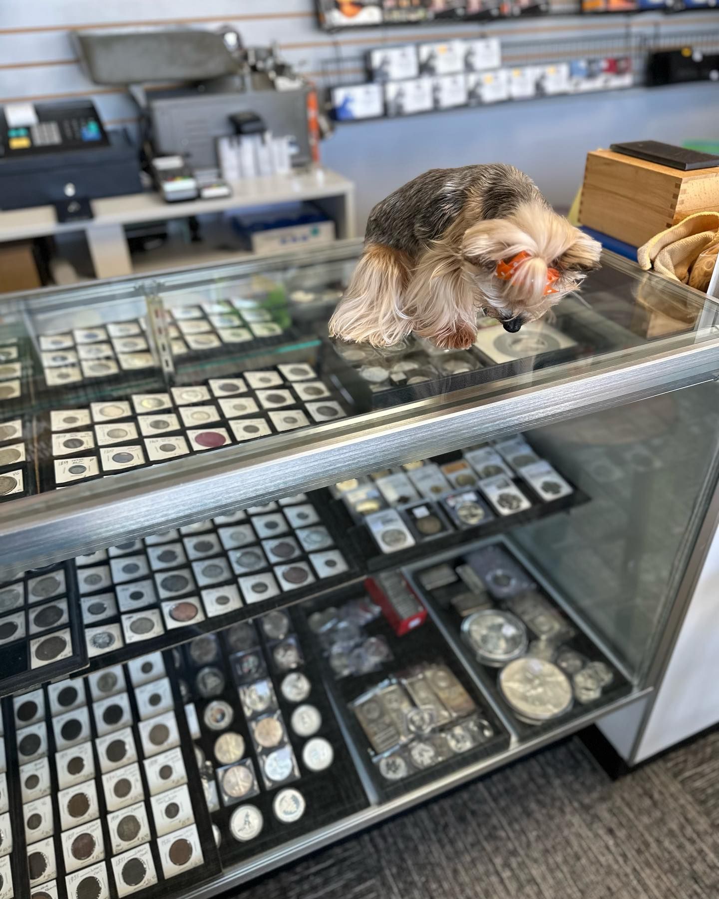 Buy/Sell Gold Knoxville, TN WestSide Coins