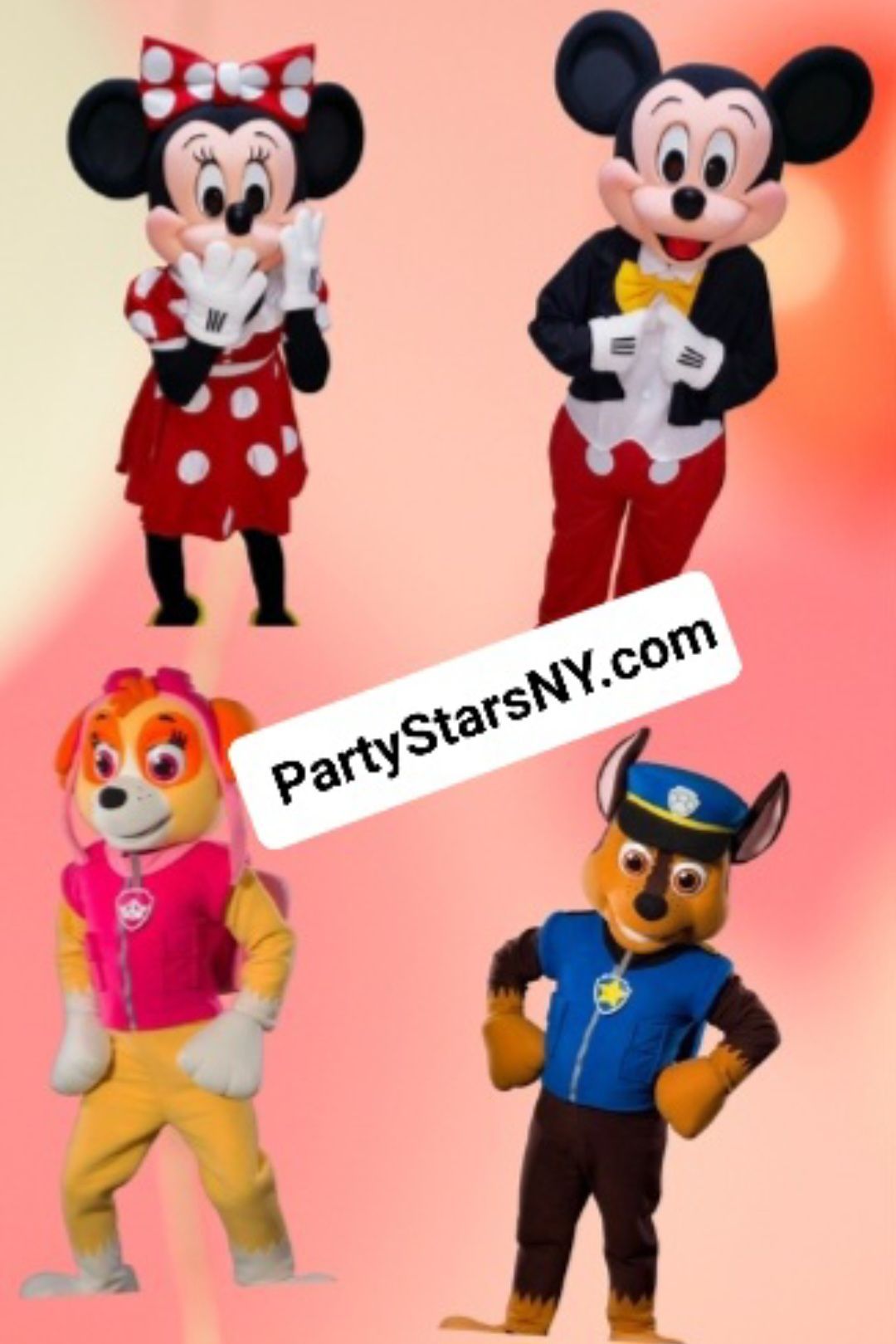 A group of mascots from partystarsny.com