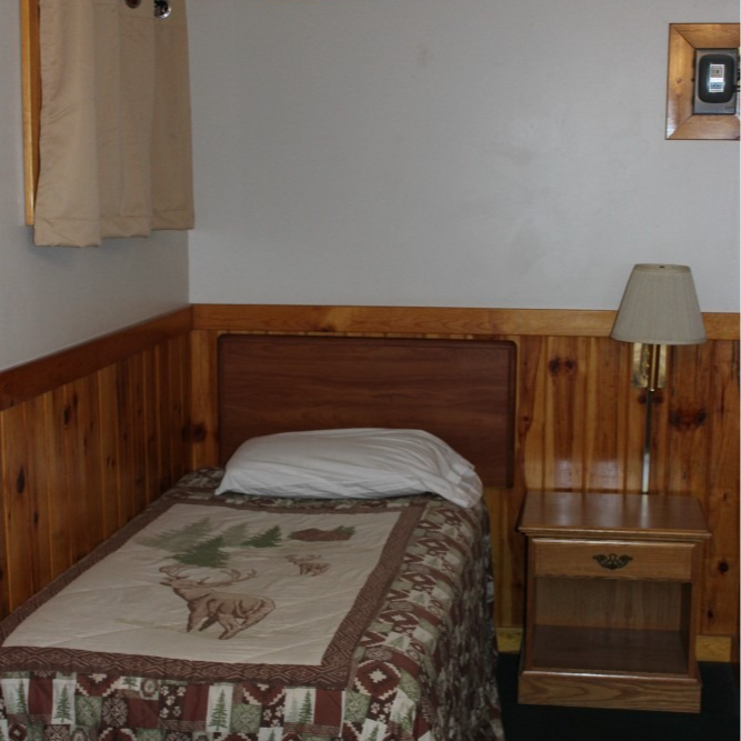 Small bedroom with a single bed, wood-paneled walls, bedside table, and lamp