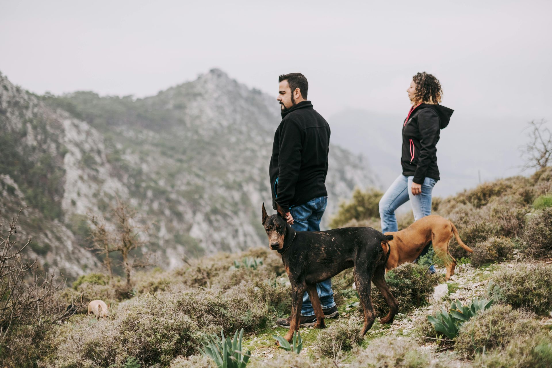 Two hikers with two dogs on a rocky mountain trail under a cloudy sky.