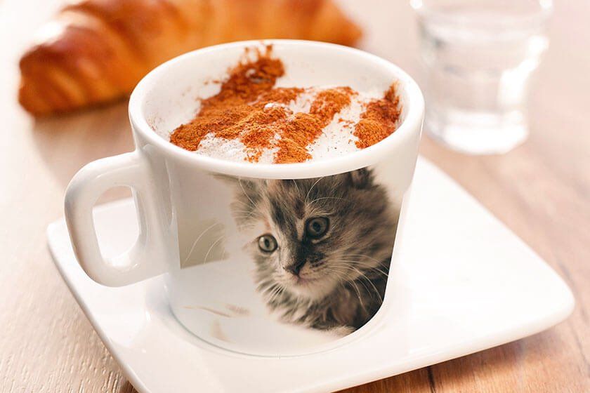 Cup of coffee with a photo of a kitten on it