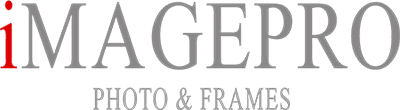 Imagepro logo