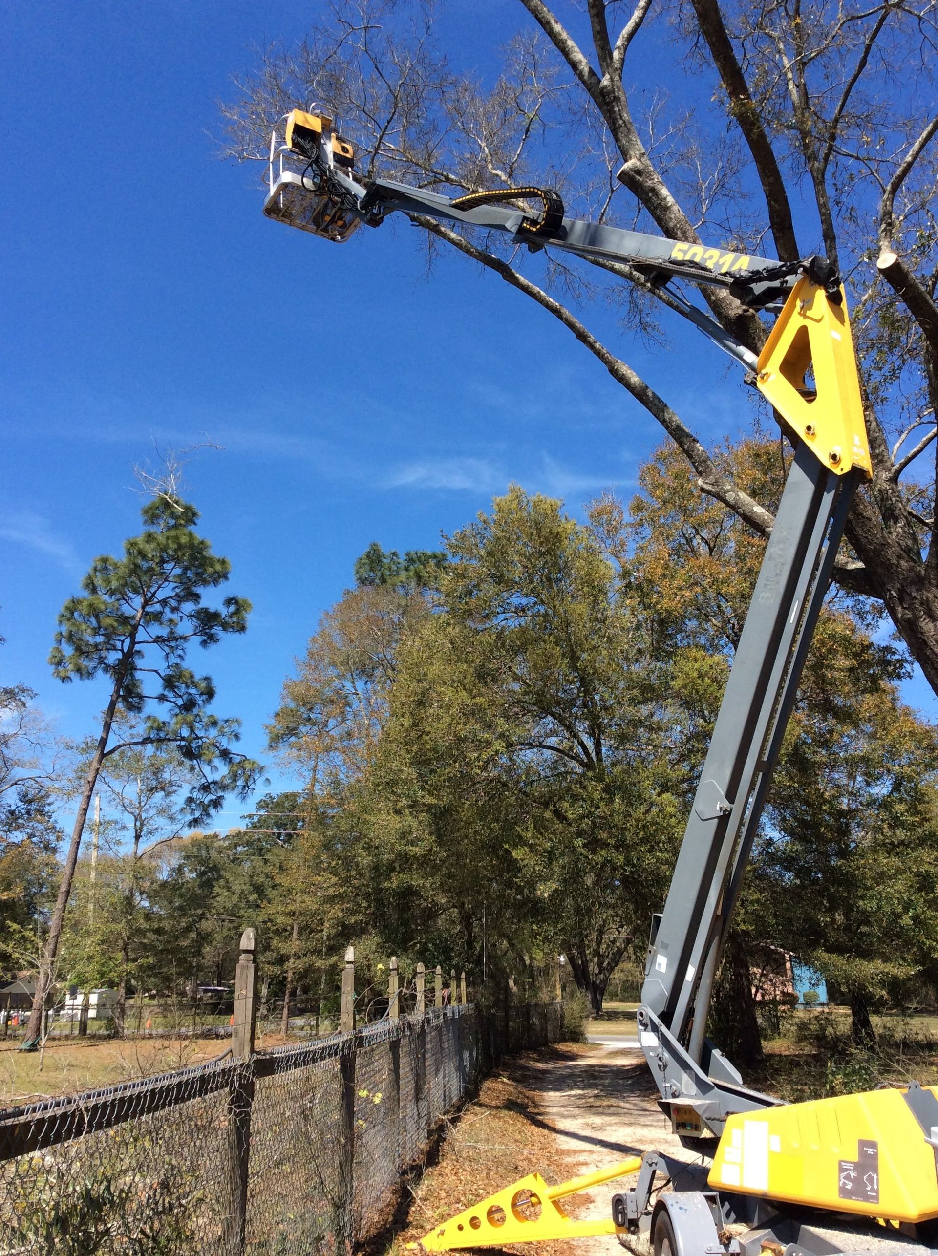 Tree Trimming Specialists in Pensacola, FL