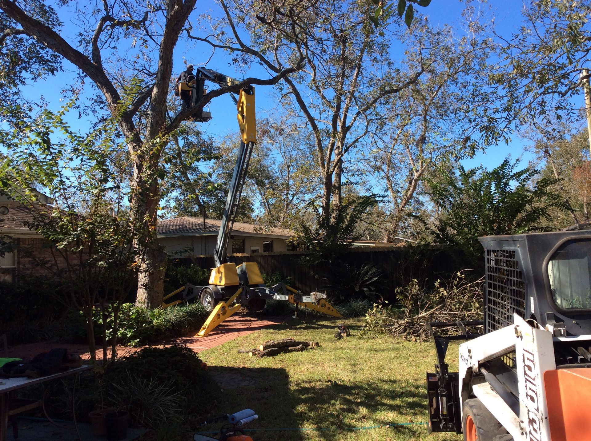 Tree Trimming Project in Progress in Pensacola, FL