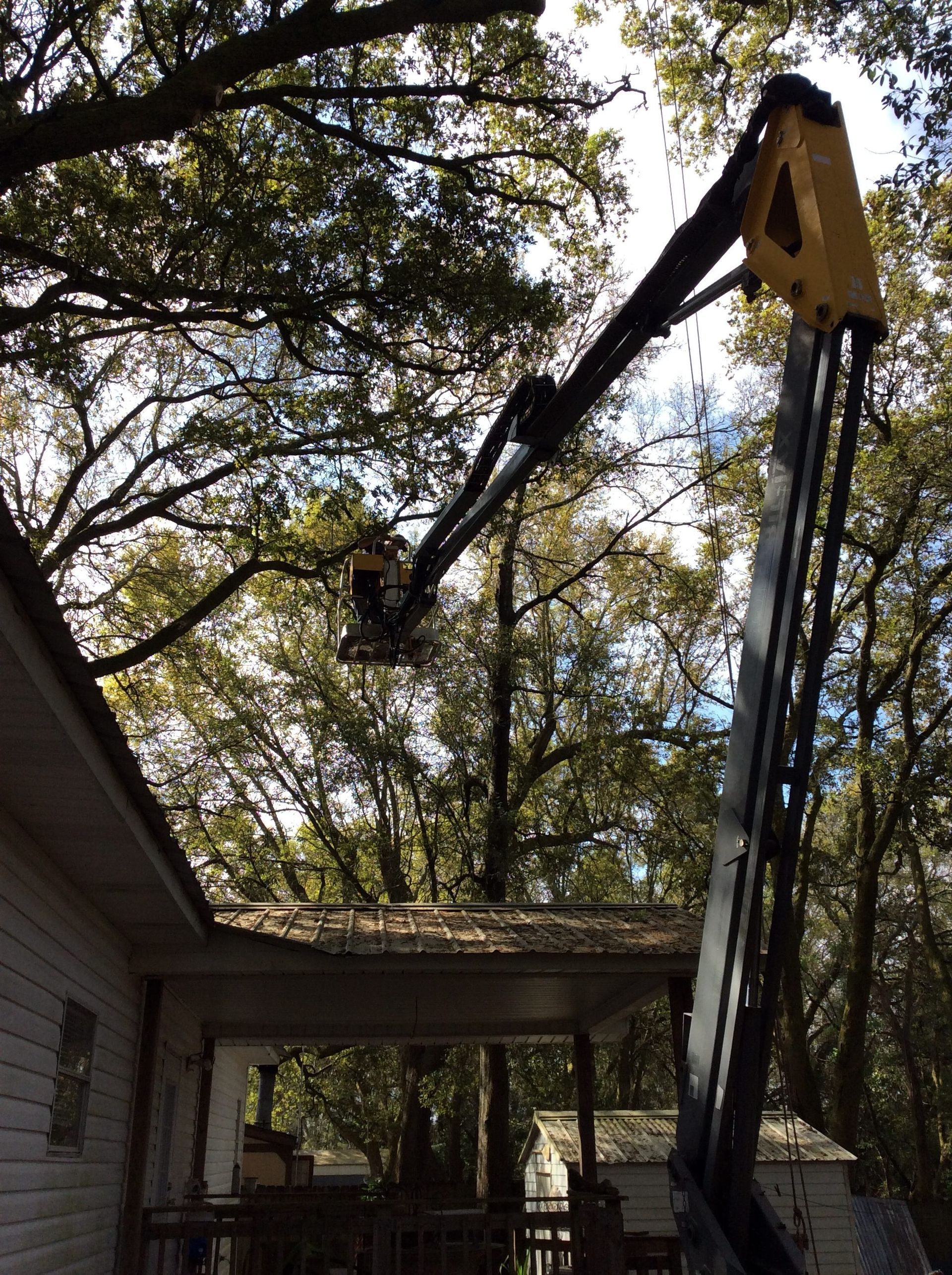 Tree Trimming Project Above Residential Roof in Cantonment, FL
