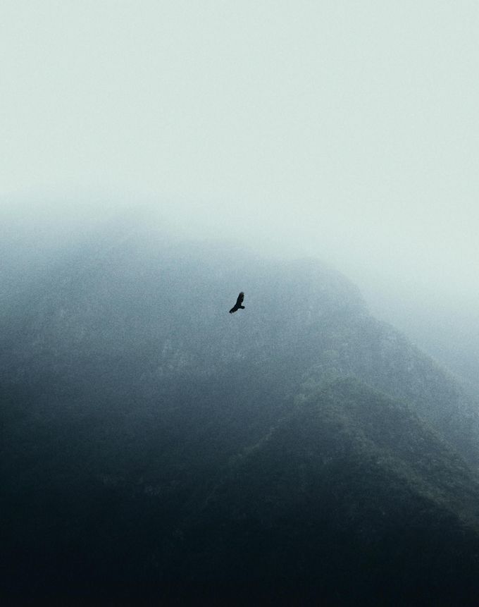 Eagle