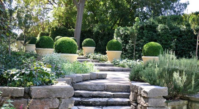 Stone steps leading to a formal garden with trimmed shrubs and trees in bright sunlight