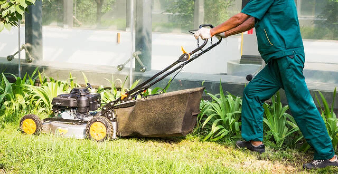 Person mowing lawn with a push mower and collection bag in a sunny garden