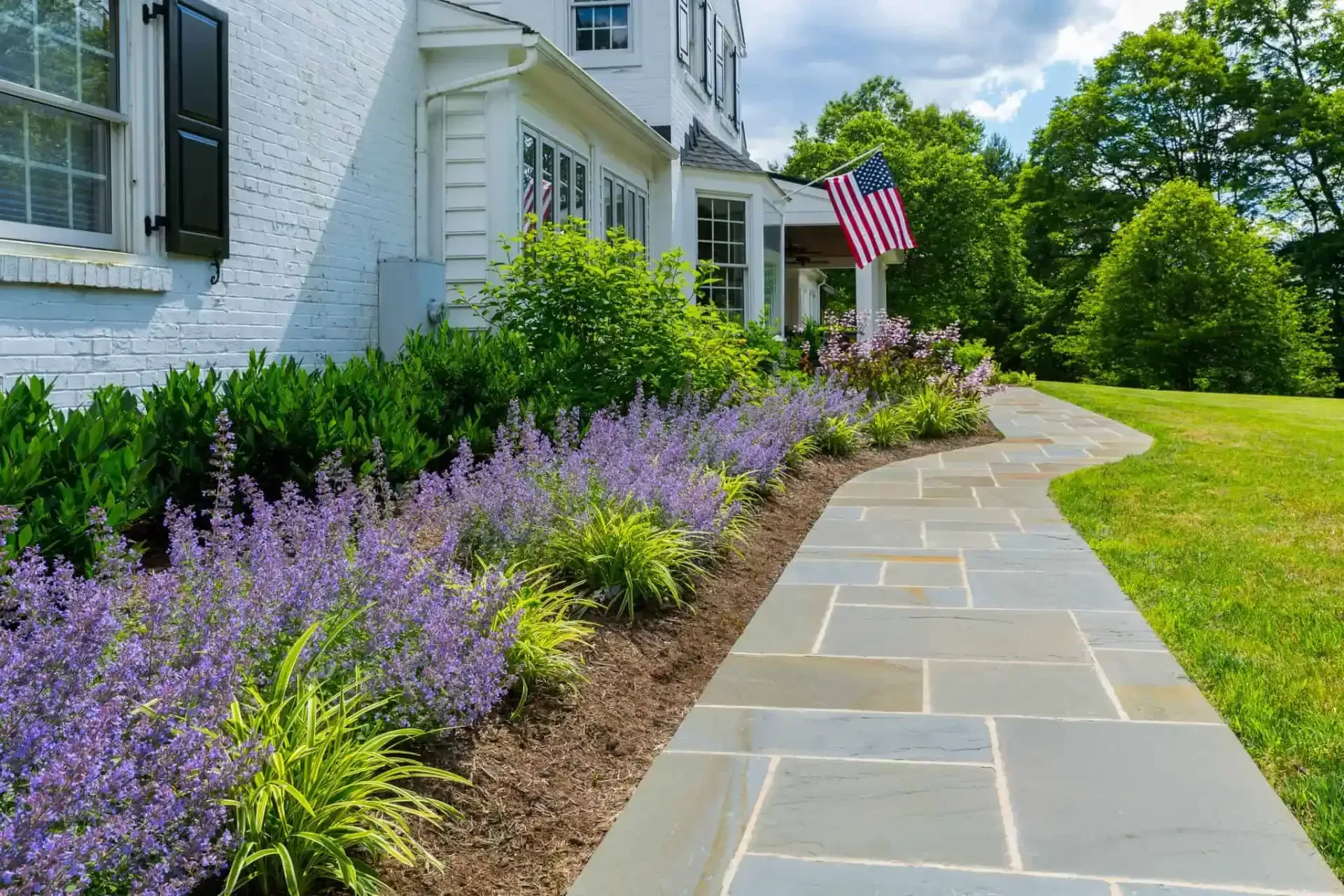White house with American flag beside a stone walkway bordered by purple flowers and green shrubs.