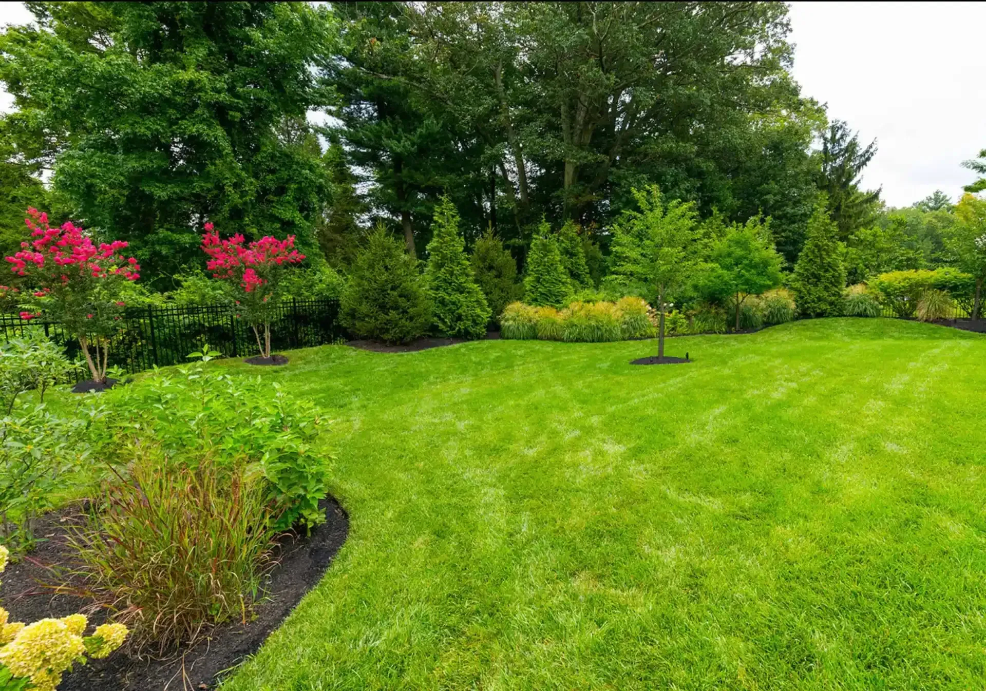 Lush green garden with manicured lawn, flowering shrubs, and tall trees under bright daylight