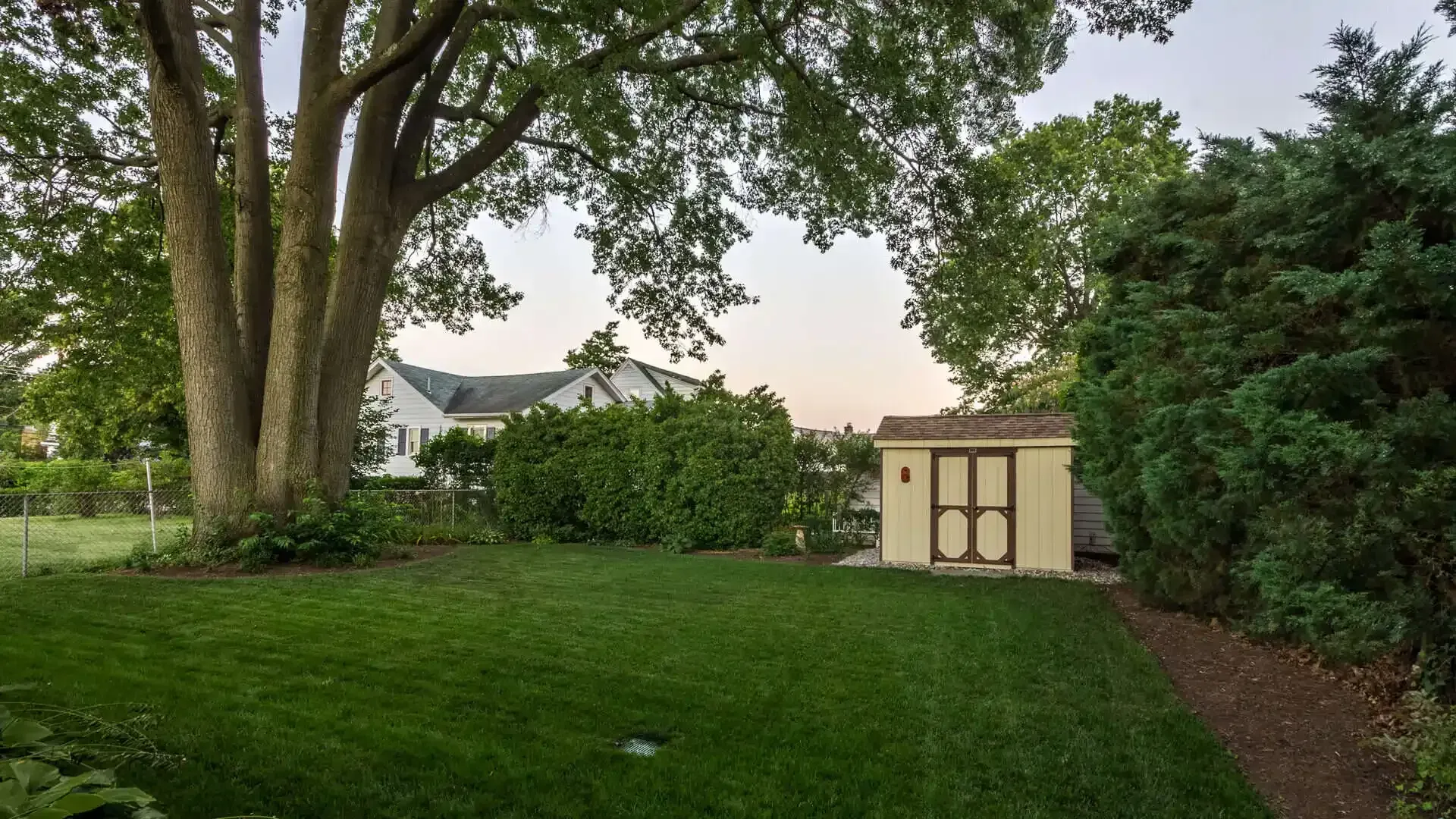 Lush backyard with large trees, green lawn, hedges, and a small cream shed by a dirt path