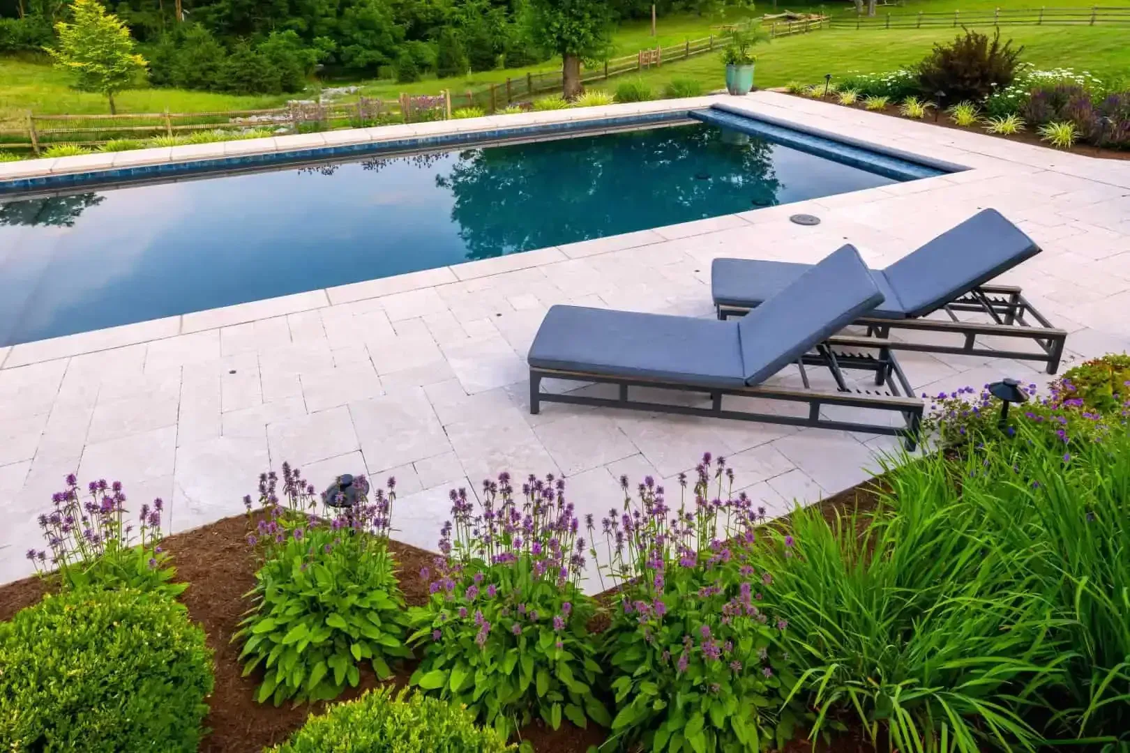 Modern backyard pool with blue water, white stone patio, and lounge chairs surrounded by lush greenery