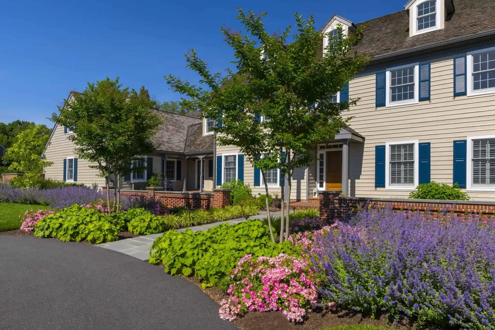 Landscaped suburban houses with blue shutters, flowering shrubs, and a paved driveway