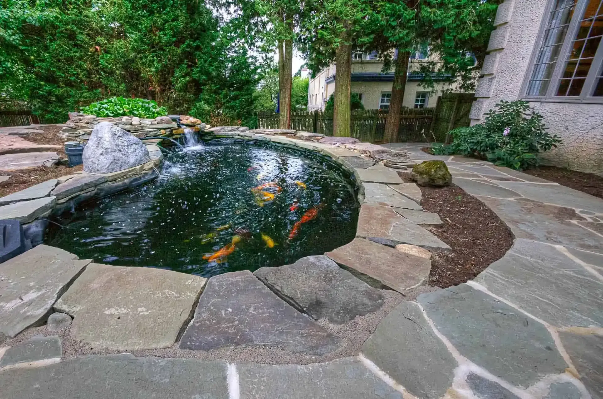 Stone-bordered garden pond with dark water and floating flowers, surrounded by rocks and greenery