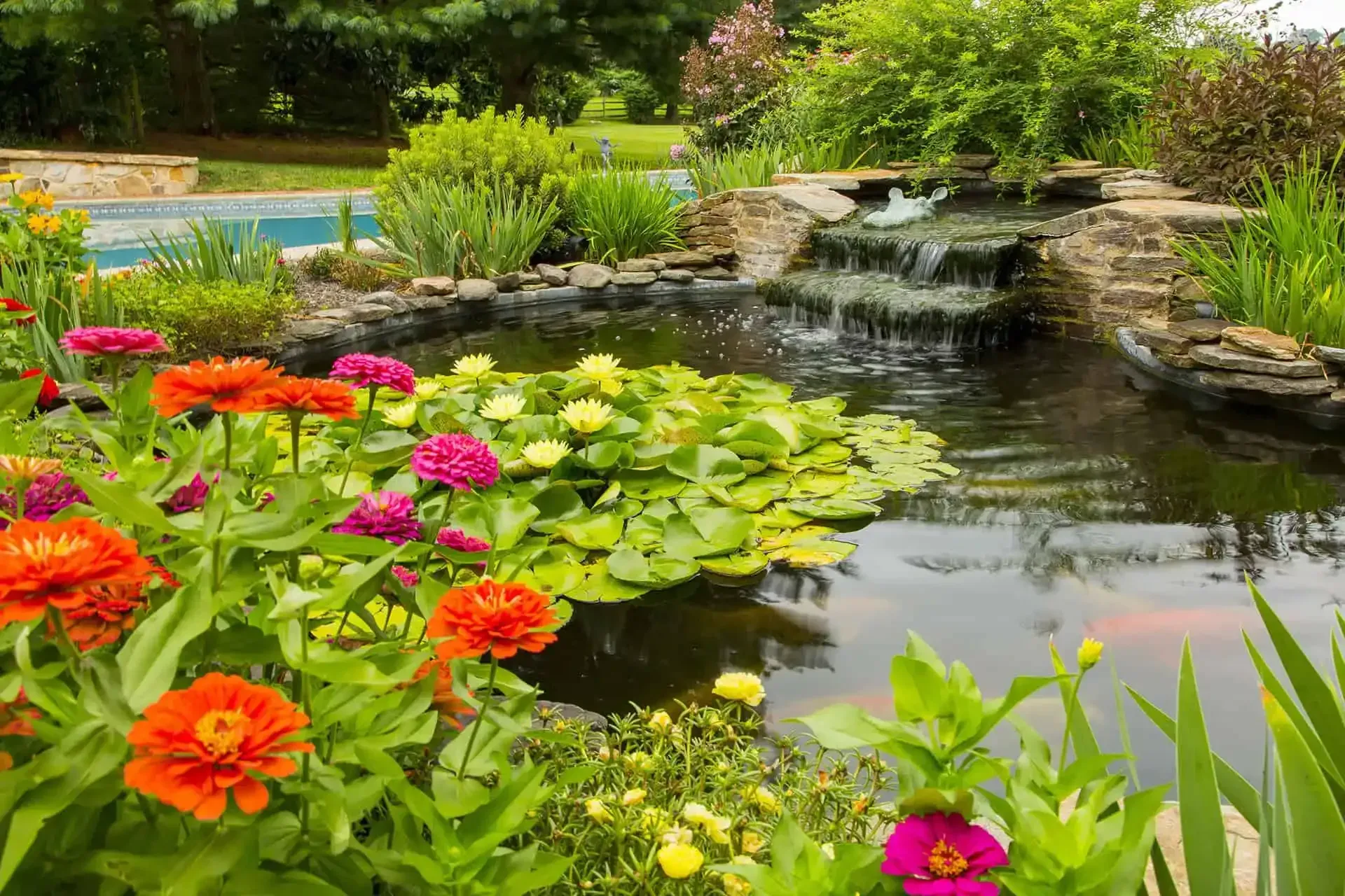 Colorful flowers and lily pads beside a garden pond with a small waterfall