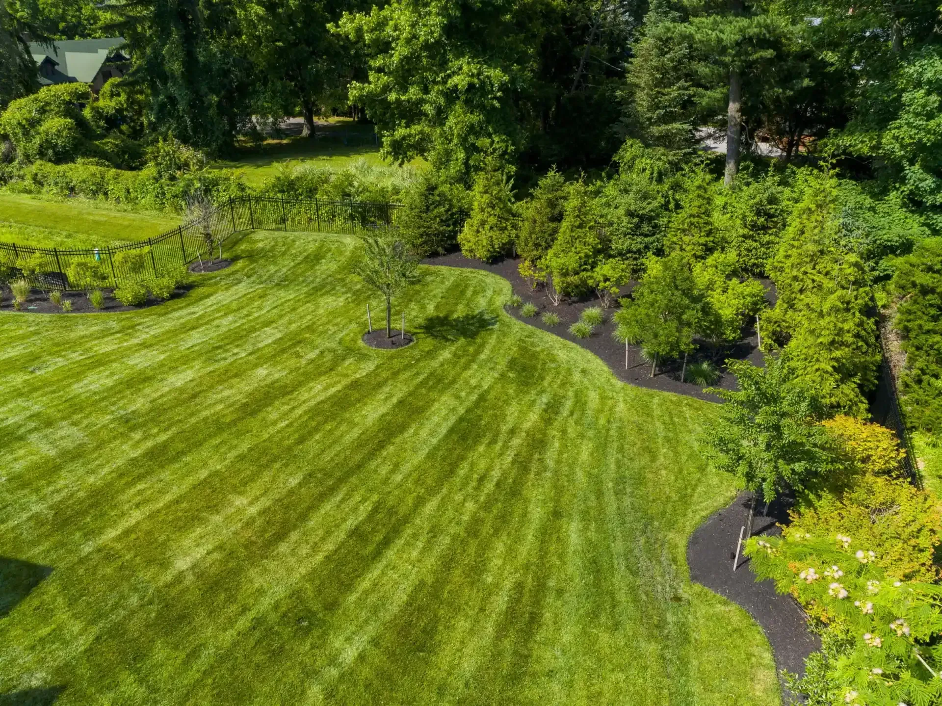 Lush green lawn with striped mowing lines, bordered by shrubs and trees in a landscaped garden