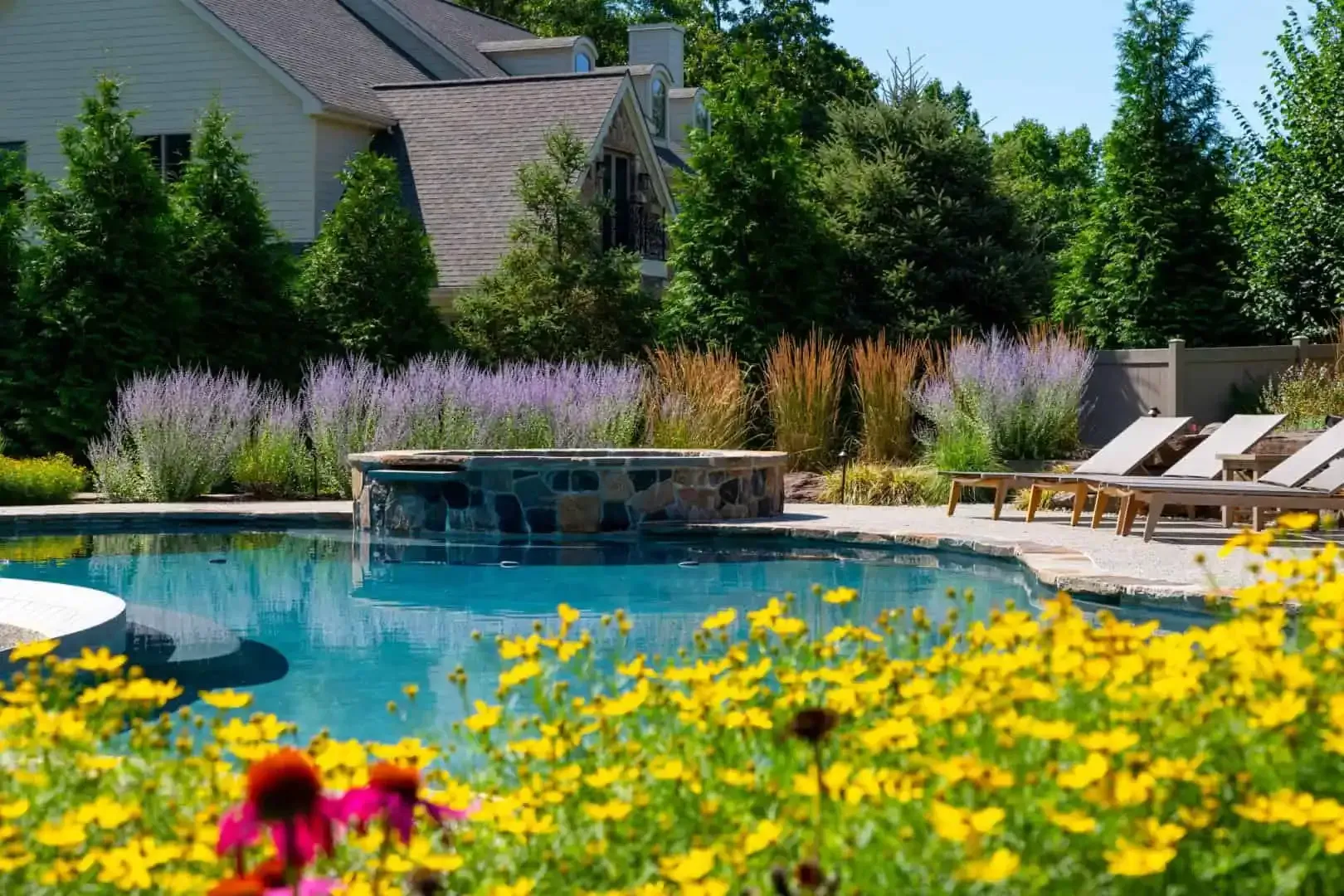 Backyard pool with lounge chairs, yellow flowers, and a house in the background