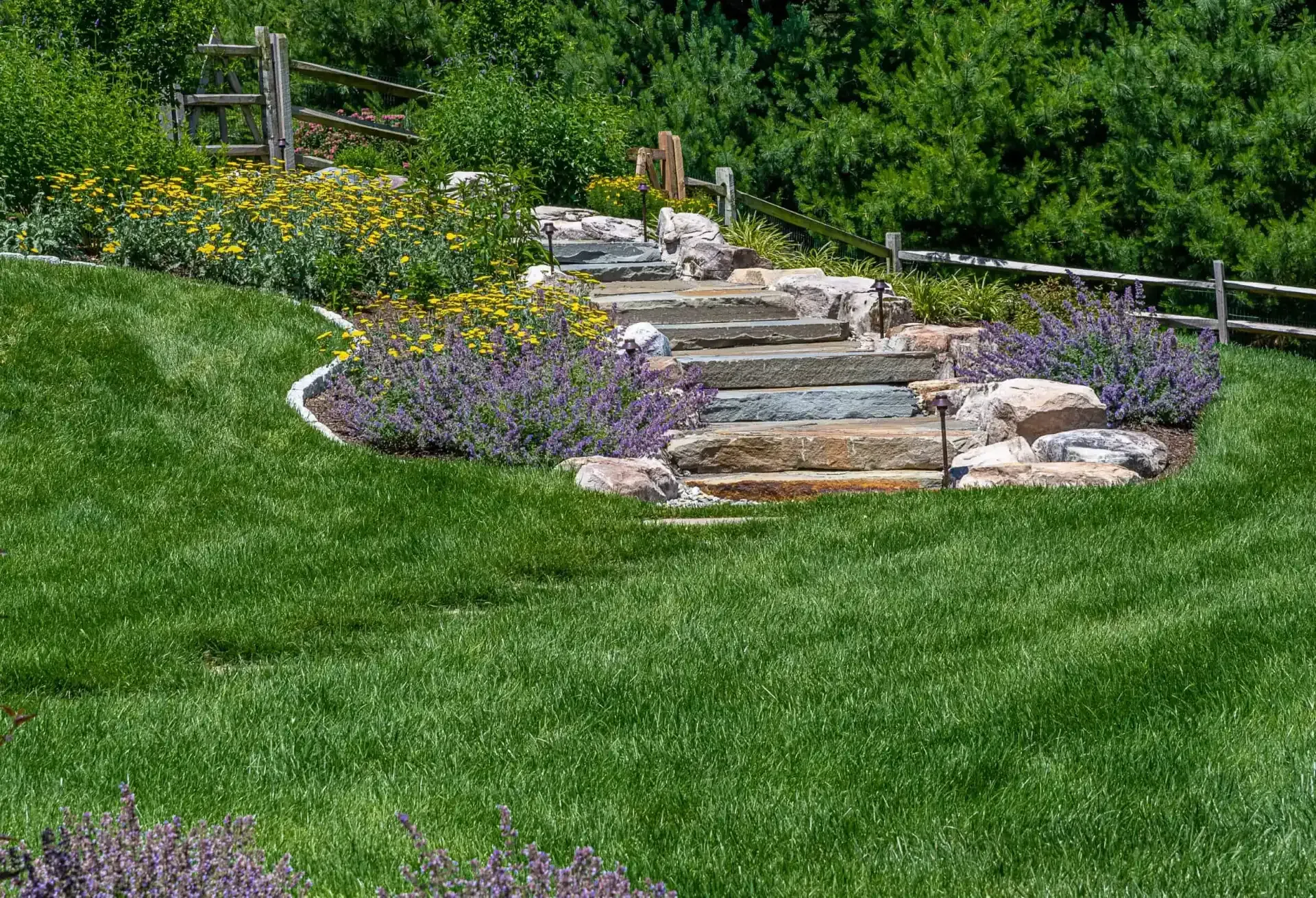 Stepped stone walkway through a lush green garden with purple flowers and shrub borders