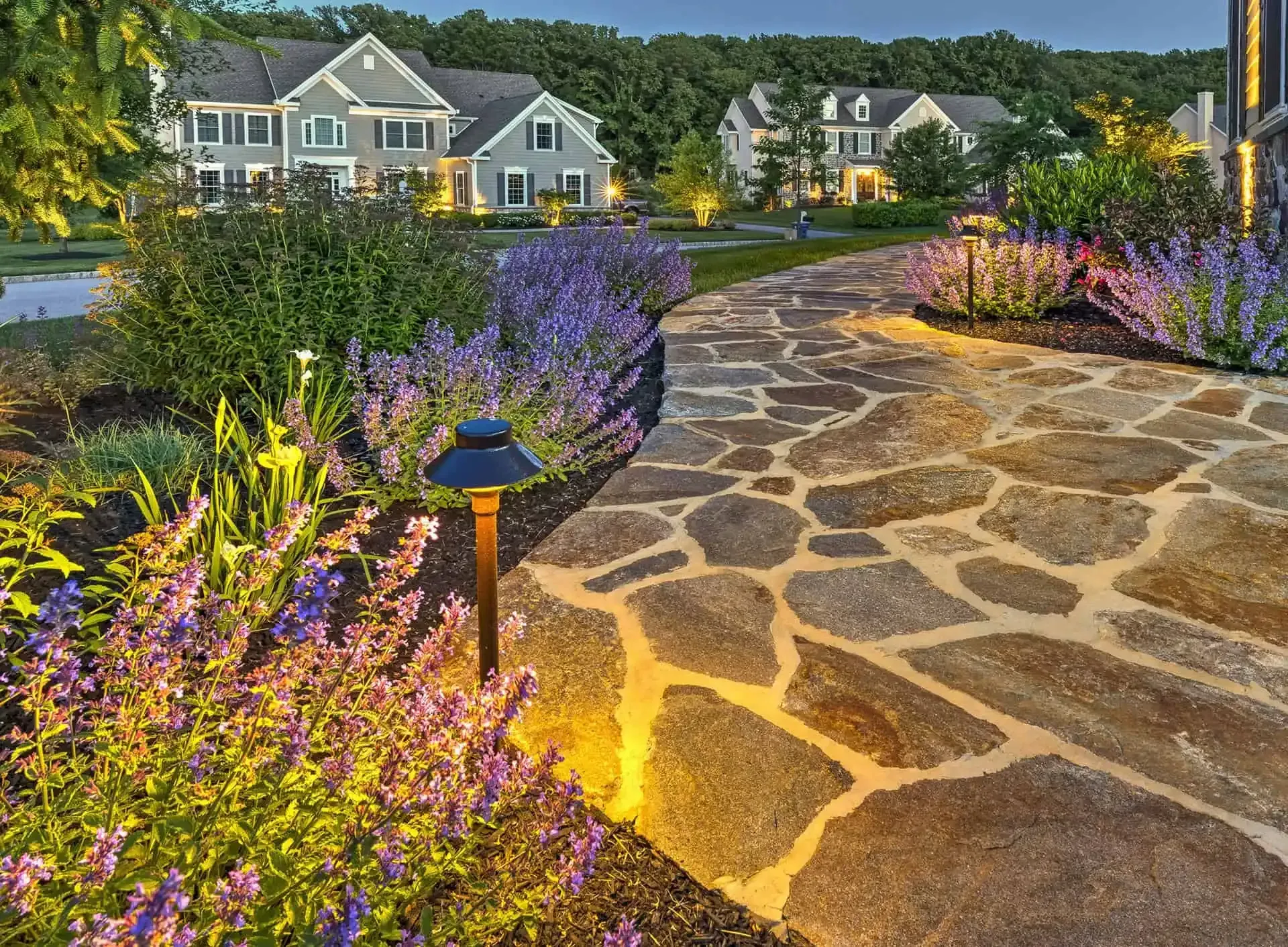 Stone garden path winding through purple flowers toward white homes at sunset