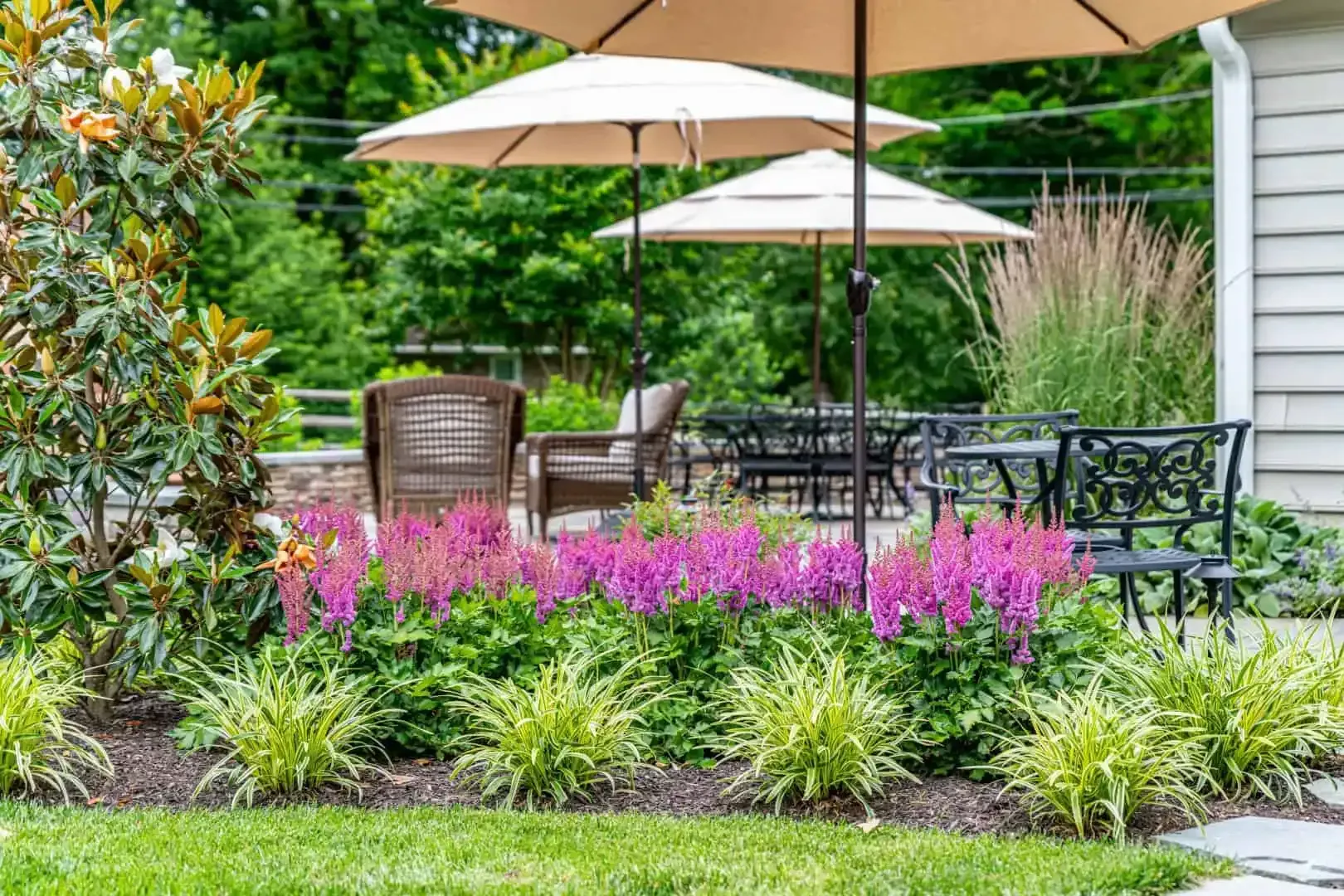 Patio seating area with beige umbrellas, black chairs, and pink flowers in a garden.