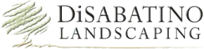 DiSabatino Landscaping logo with green leaf graphic and serif text on a white background