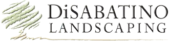 DiSabatino Landscaping logo with green leaf graphic and serif text on a white background