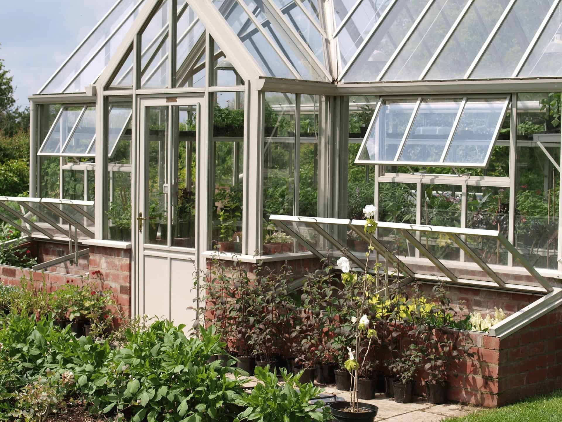 Glass greenhouse with metal frame and brick base, surrounded by leafy garden plants.