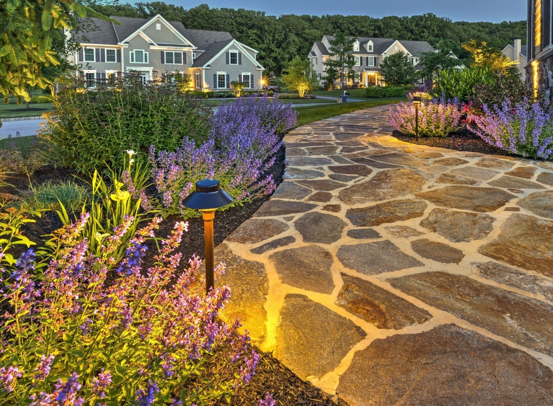 Stone garden path lined with purple flowers leading to white homes at sunset