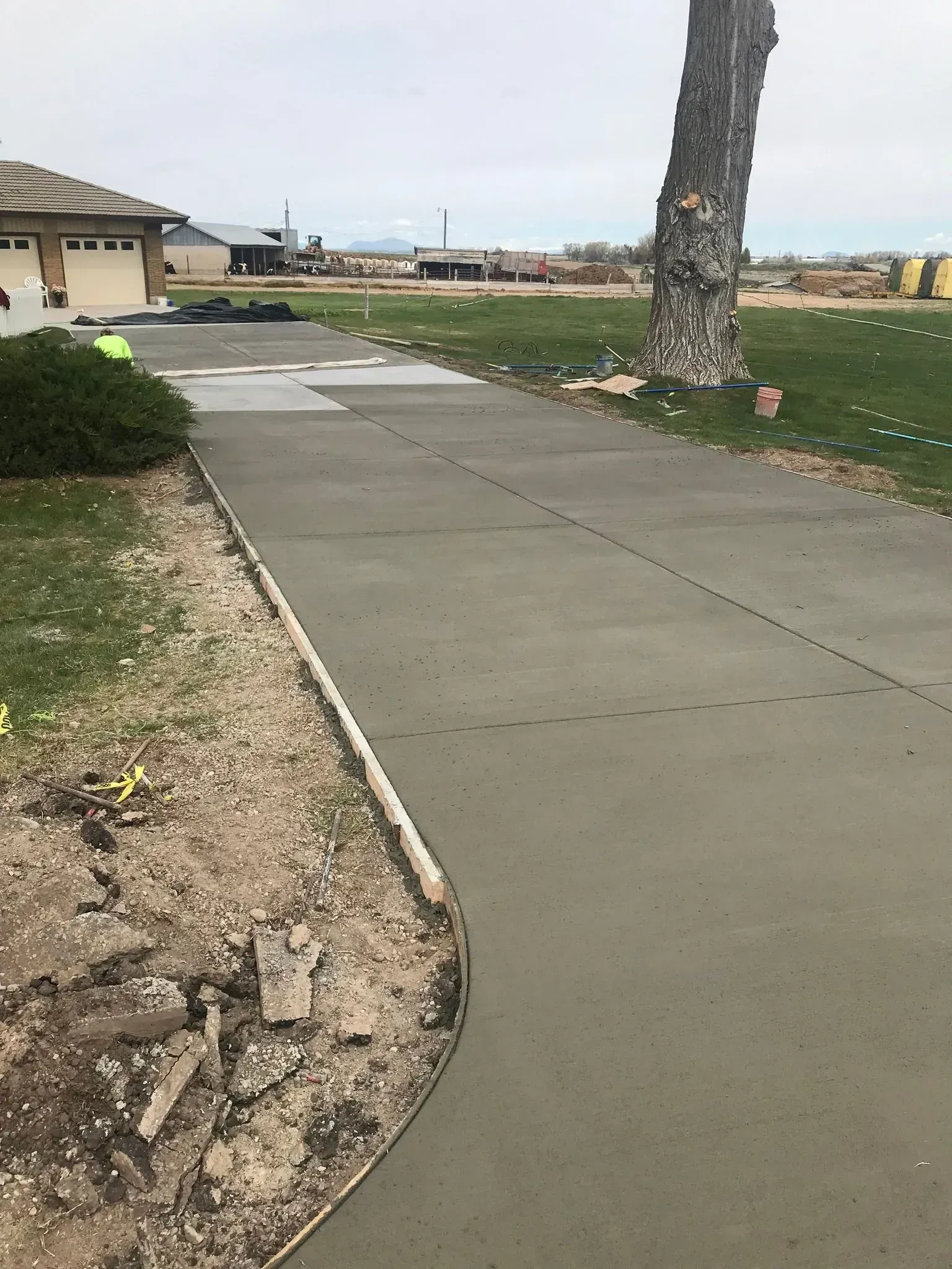 Concrete sidewalk beside a grassy lot with a tree and houses in the distance.